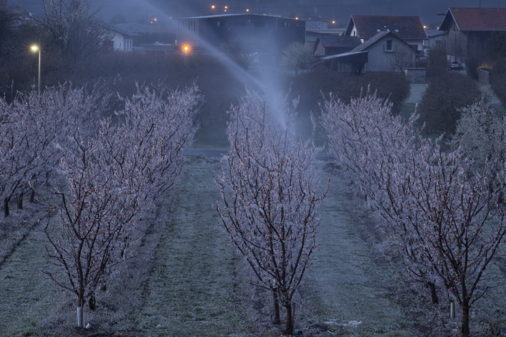 Combat contre le gel - 28 mars 2026 - Fully - Copyright o2vie.jeepix