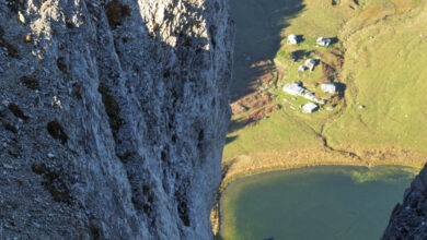 Bouquetin matinale. 17 septembre 2025 à 8h32 - Sorniot depuis le Pëtchou Tsavalâ, point culminant des Comballes. Fully.
