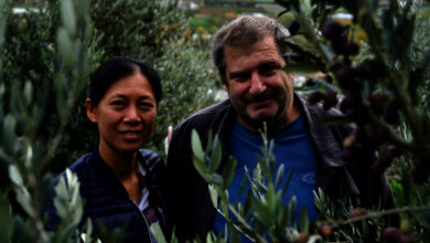 Nicolas Gex et Malene - L'oliveraie du Chargeux - Fully