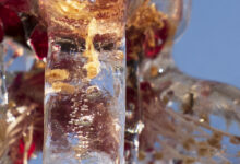 Pour piéger un des Saints, il faut bâtir des cathédrales avec leur propre glace autour de l'âme fragile de nos fleurs. » - 28 mars 2026 - lutte contre le gel à Fully.