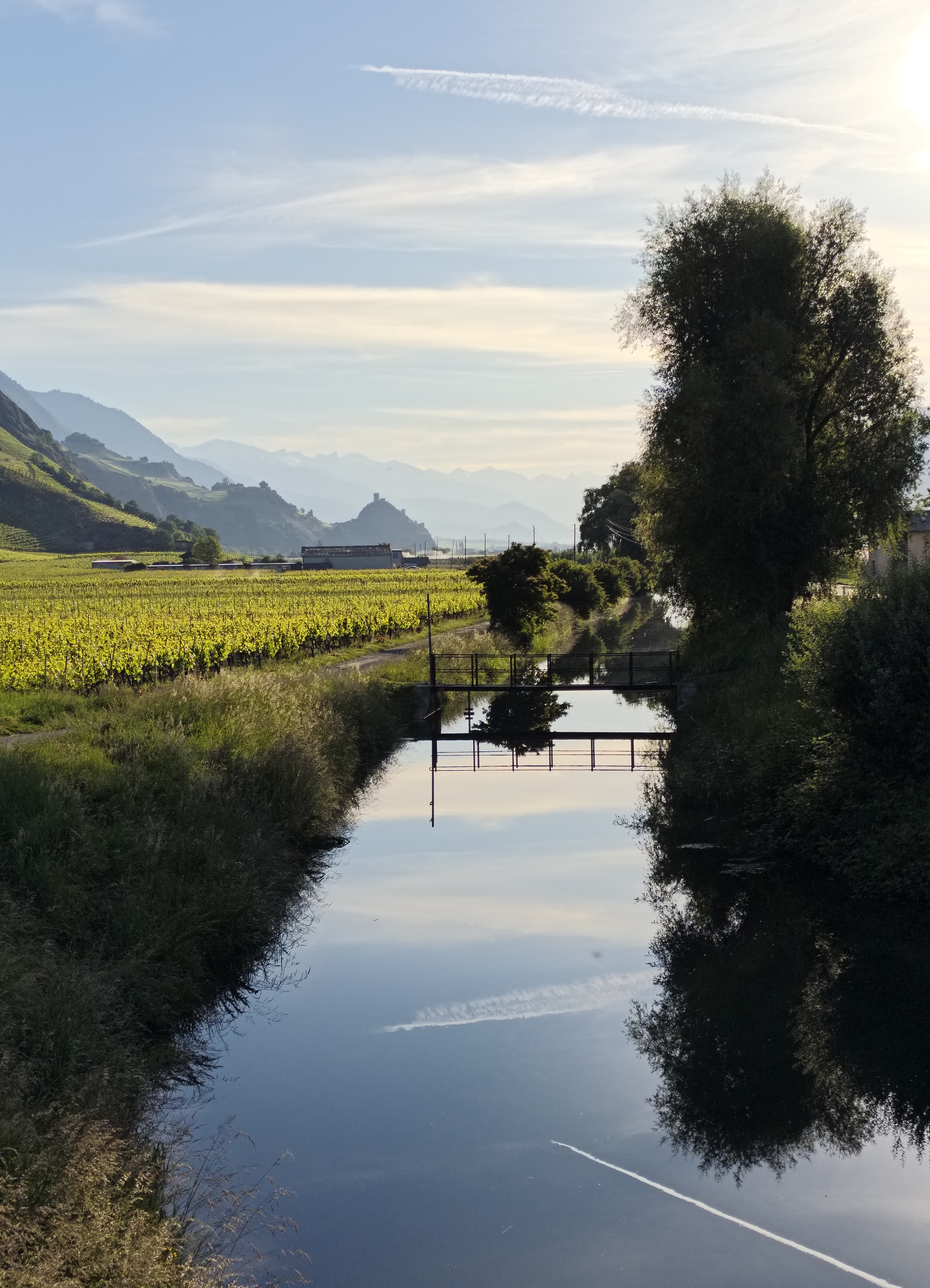 Entre vigne solaire et quiétude au bord du canal - Laura Coppey